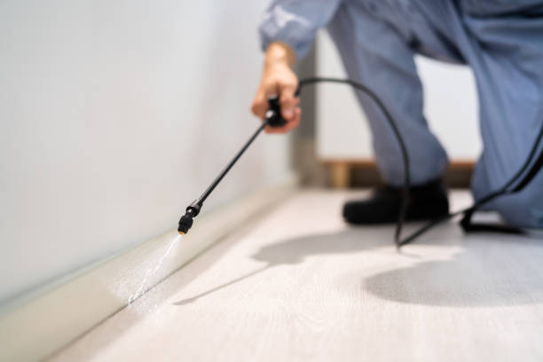 Licensed Termite Control service in Richfield, OH - Nex Pest Control