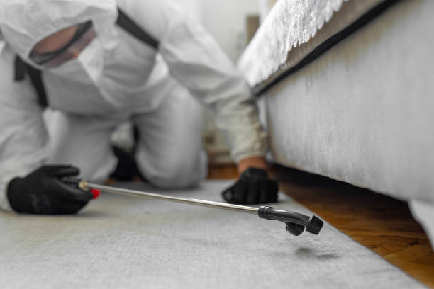 Professional Termite Control technician working in Richfield, OH