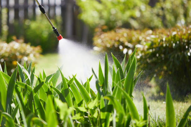 24/7 Emergency Termite Control experts in Richfield, OH