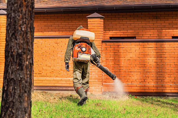Top rated local Termite Control specialists in Richfield, OH